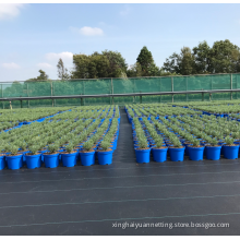PP Agricultural Weed Mat